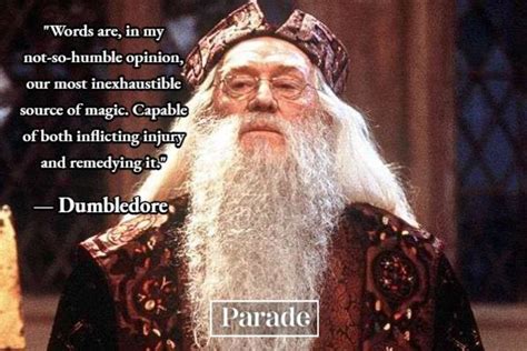 The hidden gems of Dumbledore in 'Return to the Magic